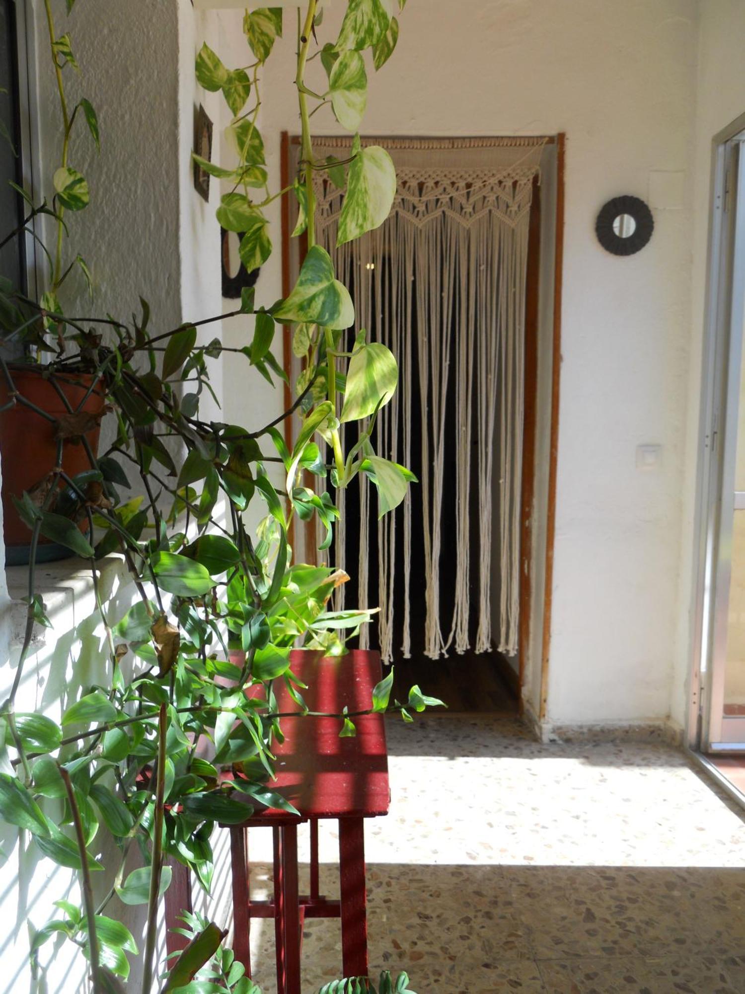 Naturalia: La Casita Con Patio Caceres Luaran gambar